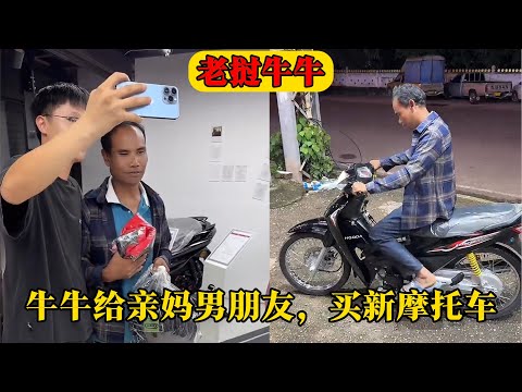 字母哥,利拉德得分,助攻双丰收,2026世界杯买球指南,世界杯投注,足球买球攻略,体育博彩技巧,世界杯投注平台,足球竞猜,世界杯买球网站,赛事分析,投注技巧,体育博彩推荐